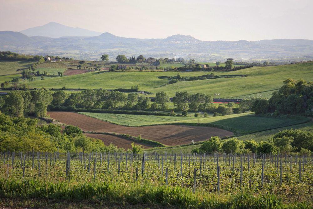 Villa Loggio Winery And Boutique Hotel Cortona Exterior photo