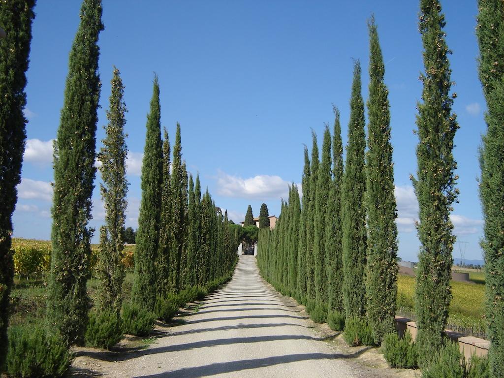 Villa Loggio Winery And Boutique Hotel Cortona Exterior photo