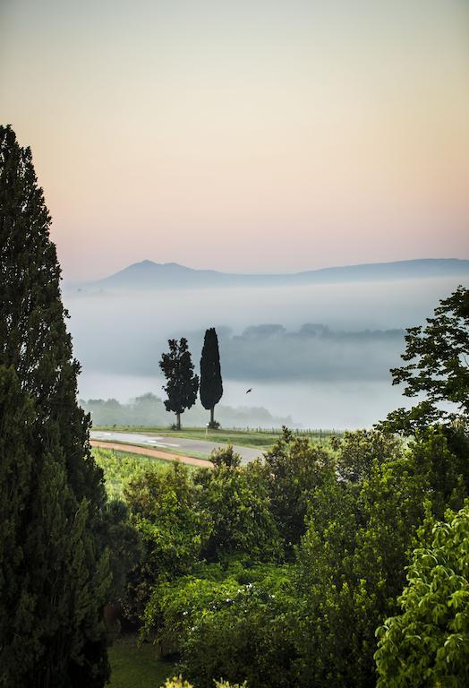 Villa Loggio Winery And Boutique Hotel Cortona Exterior photo
